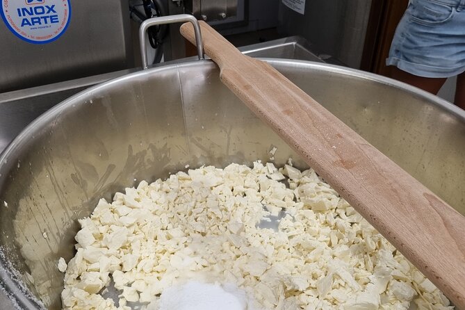 Mozzarella Live Show & Tasting in a Cheese Factory - Booking and Cancellation Information