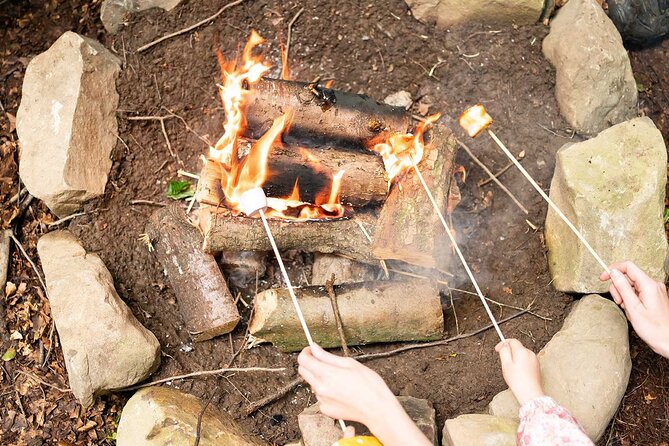 Muddy Tots Go Wild Forest School Ballynahinch County Down - Tips for Your Visit