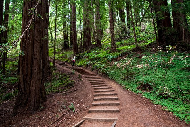 Muir Woods Expedition Tour of Coastal Redwoods - Preparing for the Tour