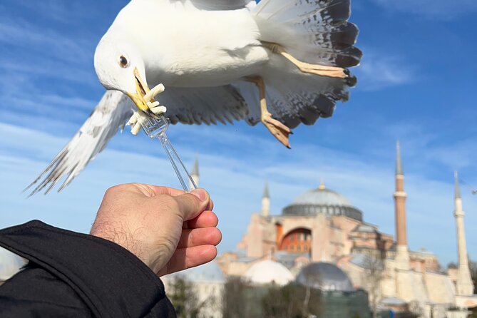 Multi 2 Days Private Guided Istanbul Top Highlights City Tour - Tour Inclusions and Exclusions