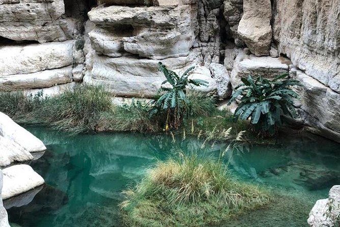 Muscat City & Wadi Shab Full-Day Adventure - Palace Grounds