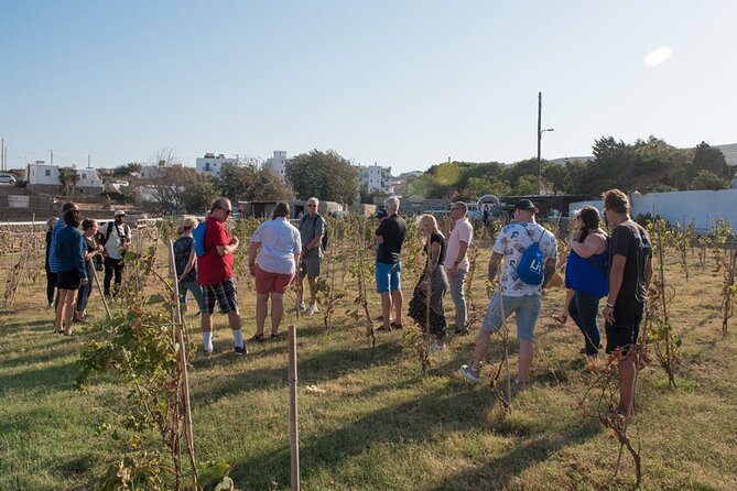Mykonian Farm Entrance Ticket - Additional Information