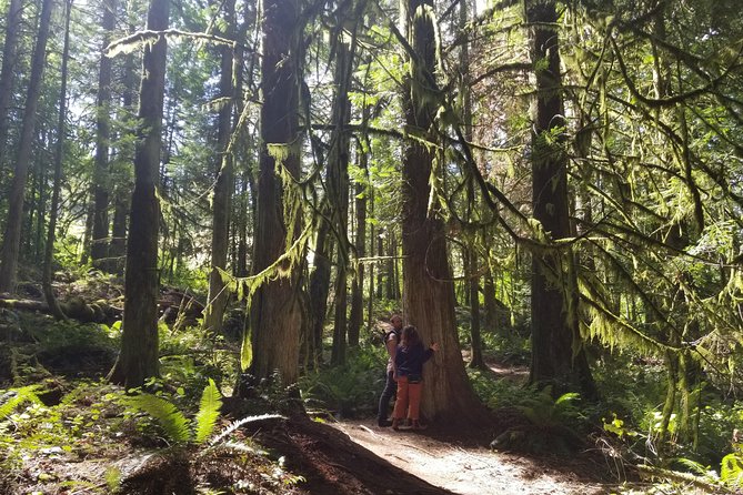 Mystical Rainforest Tour - Forest Magick - Mindfulness and Spiritual Connection