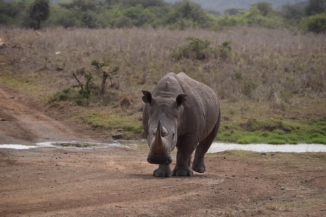 Nairobi National Park, Baby Elephant Orphanage and Giraffe Center - Frequently Asked Questions