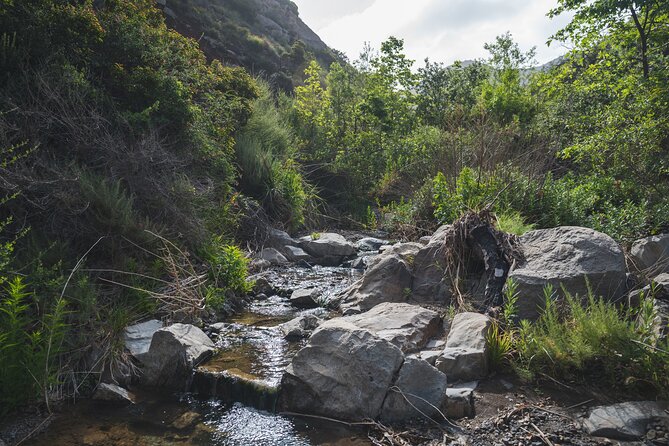 Nature Adventure With Private Transport to Waterfall and More! - Enjoyable Experiences