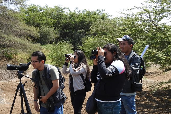 Nature Tour, Pómac Forest With Picnic Breakfast Included. - Confirmation and Payment