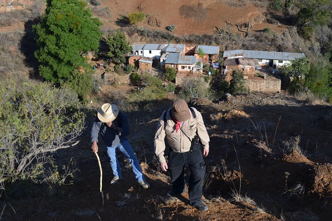 Nature Walk - Bufa Hill or Santa Rosa Area - Experience Highlights