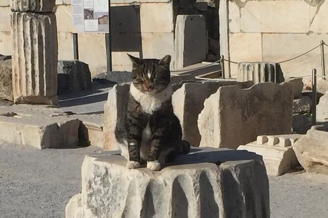 NO HIDDEN COSTS Private Ephesus With Skip the Line Tickets - Product Code and Details