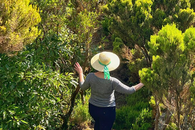 Nordeste - Wilderness Nature - Private Jeep Tour With Local Guide - Why Choose a Local Guide