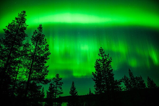 Northern Lights Adventure From Rovaniemi Review - Getting to Rovaniemi and Transportation