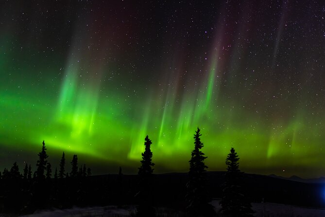 Northern Lights Adventure of a Liftetime From Anchorage - Optimal Viewing Conditions