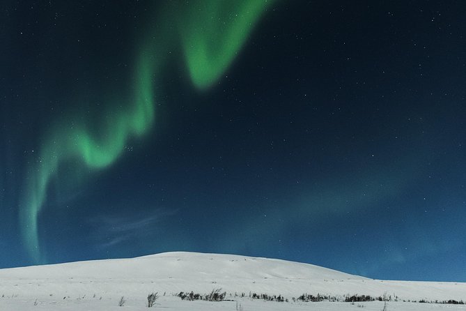 Northern Lights Cable Car Excursion - The Sum Up