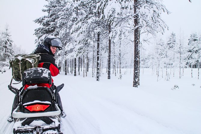 Northern Lights Snowmobile Driving Safari in Kemi - Pricing and Booking Details