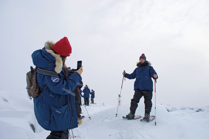 Northern Lights Winter Nights Adventure - Winter Activities and Experiences