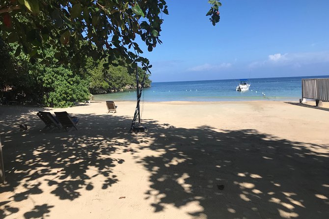 Ocho Rios City Bus Tour (Beach, Sightseeing & Shopping) - Transportation and Accessibility