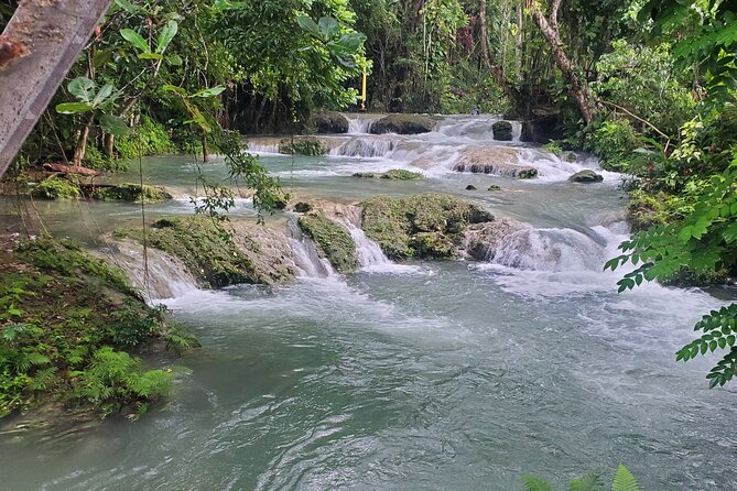 Ocho Rios Highlight With Blue Hole or Dunns River Falls From Montego Bay - Tour Pricing and Cancellation