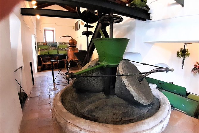 Ojen Private Walking Tour by Tours in Malaga - Tour Details