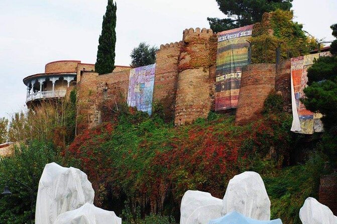 Old Tbilisi Walking Tour & Wine Tasting - Company Establishment and Services