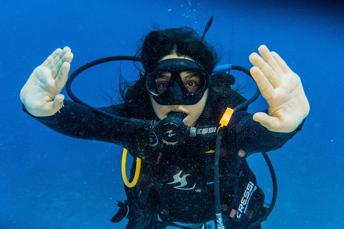 Open Water Course Cozumel - Reviews and Testimonials