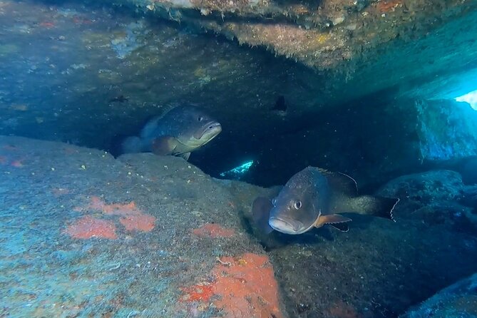Open Water Diver Course - The Sum Up