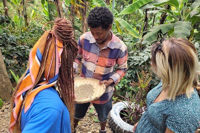 Organic Coffee Tour and Local Food Experience in Arusha - Traveler Testimonials