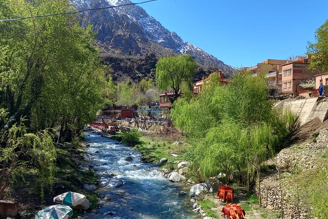 Ourika Valley and Atlas Mountains Day Trip - Memorable Highlights