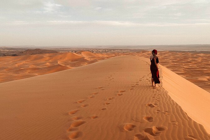 Overnight Tour From Fes to Sahara Desert - Why Choose This Tour