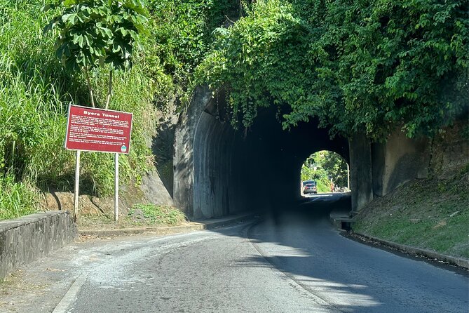 Owia Salt Pond Tour and Black Point Tunnel With Topdawg Taxi and Tours - Traveler Experiences