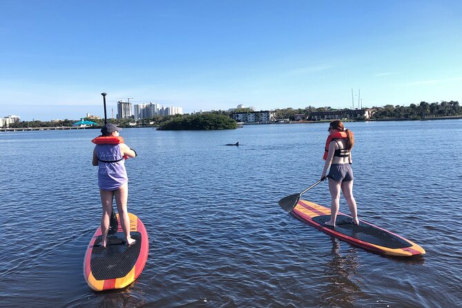 Paddle Board Rental - Tips for First-Time Renters
