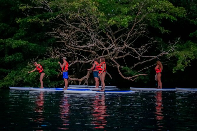 Paddle With Adventure Lab at Sunrise! - Paddleboarding Experience