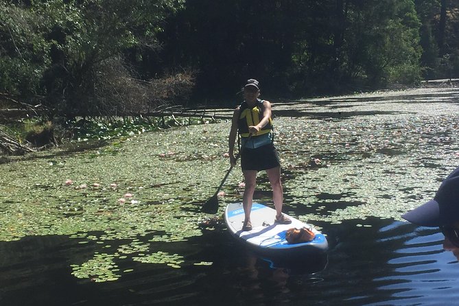 Paddling Thetis Lake - Booking and Availability