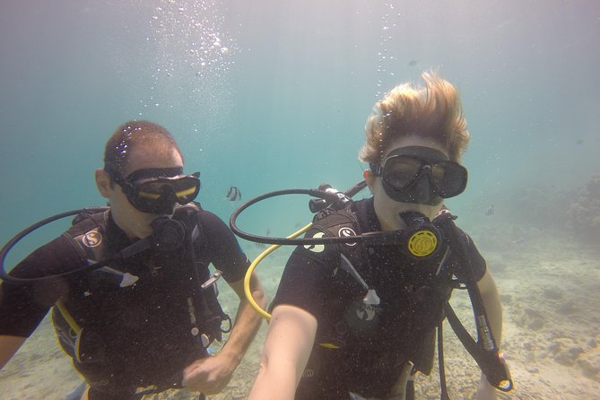 Padi Open Water Diver Course - Frequently Asked Questions