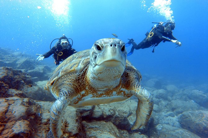 PADI Scuba Dive Course in Costa Adeje - Additional Information