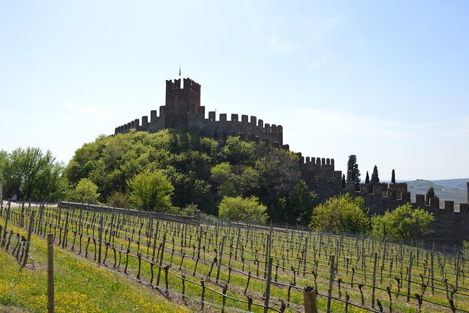 Pagus Wine Tours® - Soave and Amarone - Half Day Wine Tour - Exploring Soave and Valpolicella