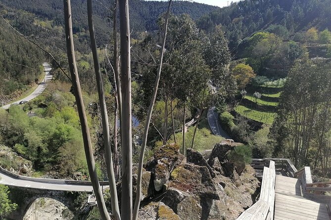 Paiva Walkways and Arouca Bridge Leaving Porto - Feedback and Insights