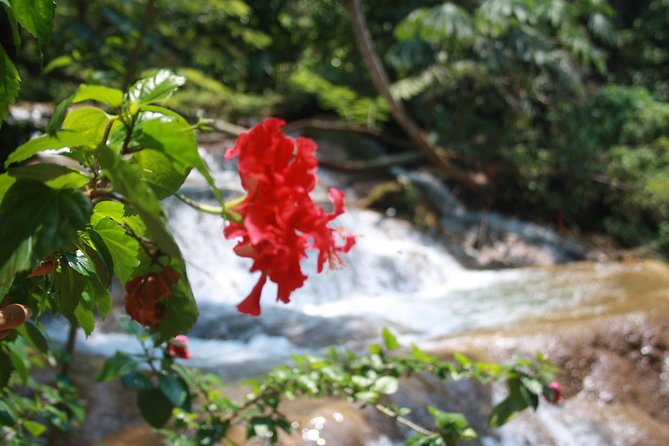 PALENQUE Ruins, AGUA AZUL and MISOL-HA (Private From PALENQUE or San Cristobal) - Frequently Asked Questions