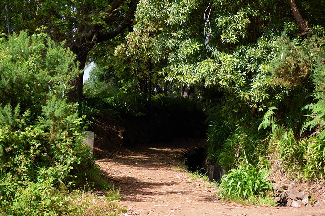 Paradise Valley Beauty Walk - Highlights of the Walk