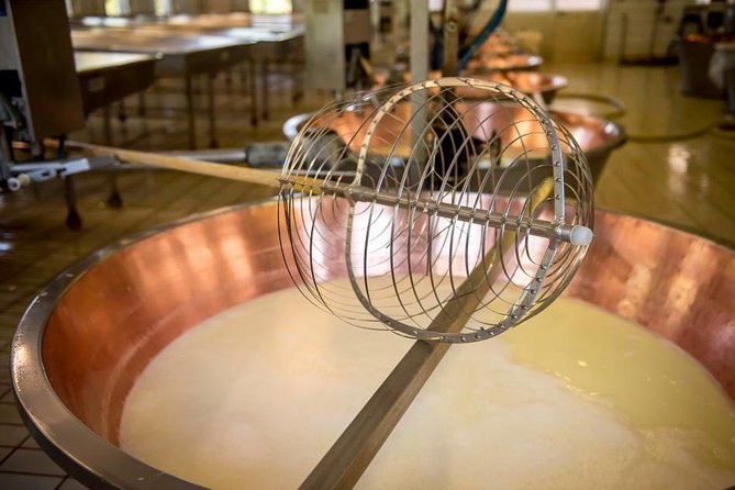 Parmigiano Reggiano Cheese Factory Tour & Tasting Experience - Positive Guest Feedback and Reviews
