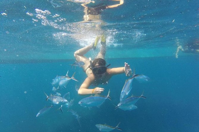 Party Boat in Catamaran With Open Bar + Snorkeling - Booking and Cancellation