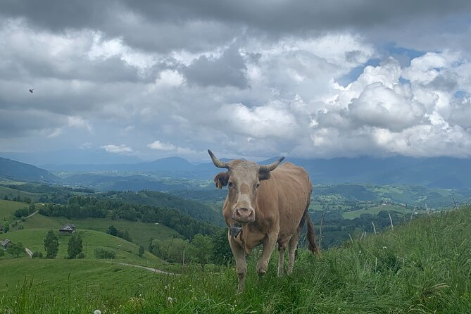 Peles Castle and Authentic Romanian Village Experience - Day Trip - Traveler Reviews