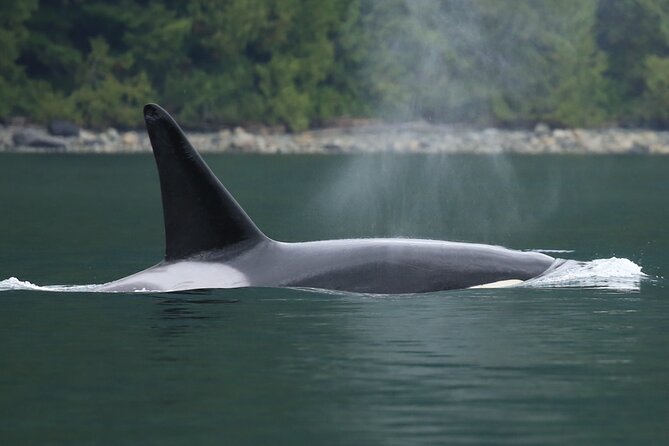 People Water Land- Indigenous Cultural and Wildlife Tour - Booking Information