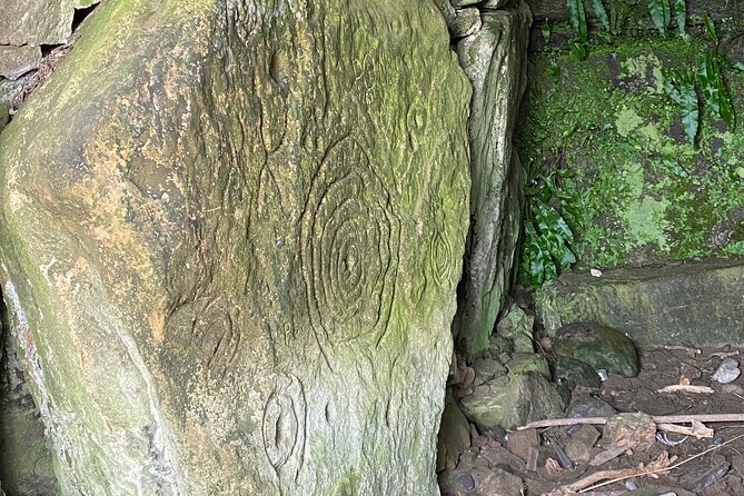 Personal Tour: Hill of Tara Trim Castle Boyne Valley Celtic Sites - Preparing for the Tour