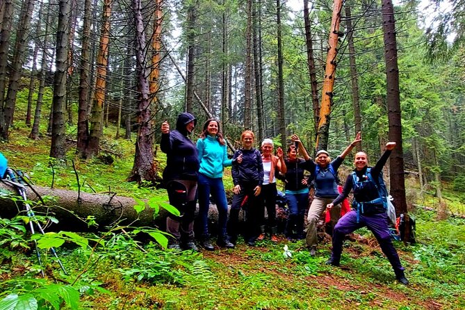 Pestera and Magura Full-Day Private Walking Tour From Brasov - Comfortable Hiking Pace