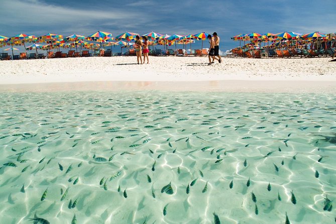 Phi Phi Island From Phuket by Speedboat (Sha Plus) - Booking Information