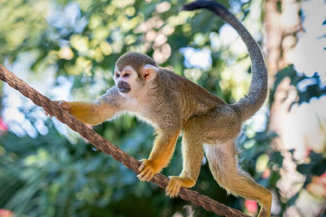 Phoenix Zoo Admission Ticket - Booking Instructions