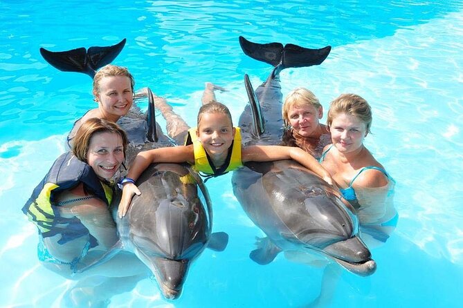 Photo Session With Dolphins With Transfer in Hurghada - Booking and Contact Information
