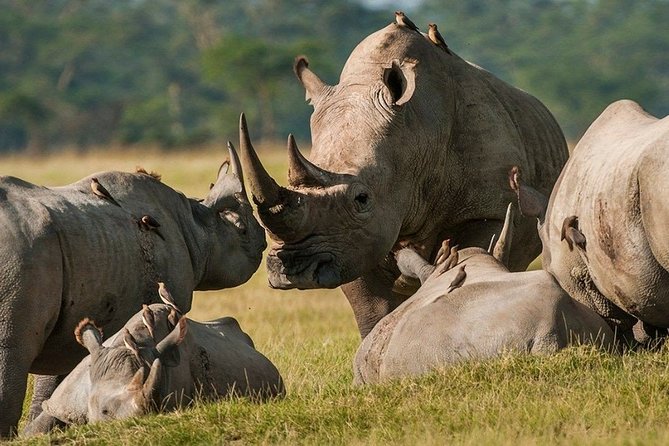 Pilanesberg Wildlife Safari - Frequently Asked Questions