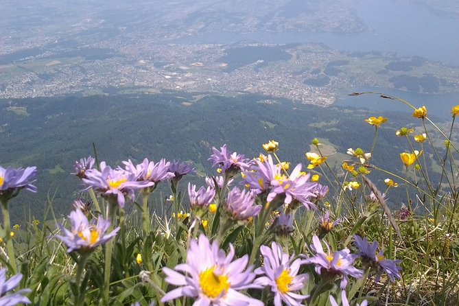 Pilatus Panorama: Exclusive Private Golden Round Trip From Zürich - Booking Information and Cancellation Policy