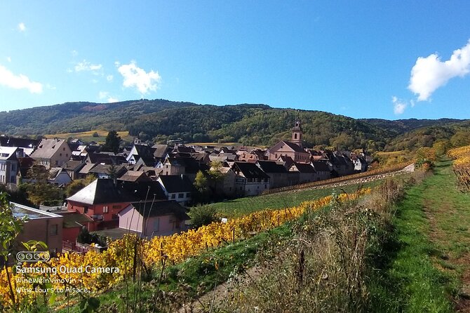 Pinot Noir & Pinot Wine Tour to Baden-Württemberg - Sum Up