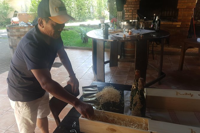 Plesivica Countryside Wine Tasting - Visitor Experience